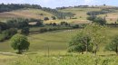 Vallonnade